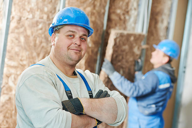 Best Cellulose Insulation in USA